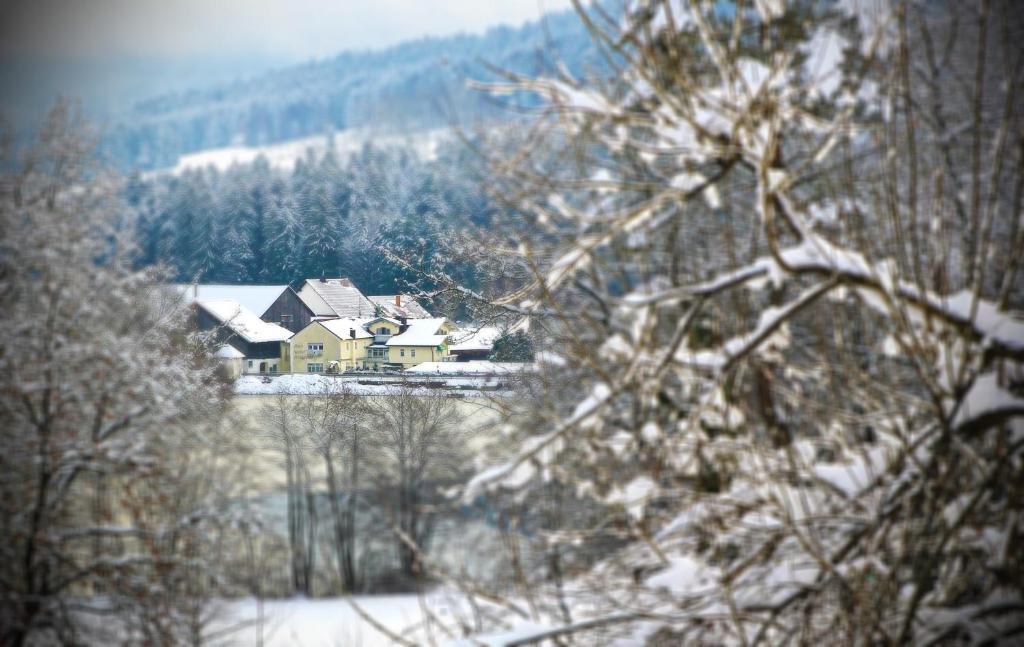 Hotel Der Seehof Hauzenberg Εξωτερικό φωτογραφία
